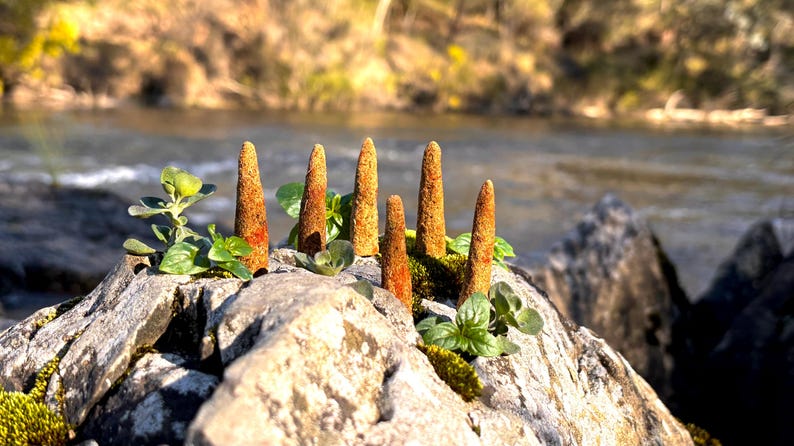 Bush Spirit Incense - Etsy Australia