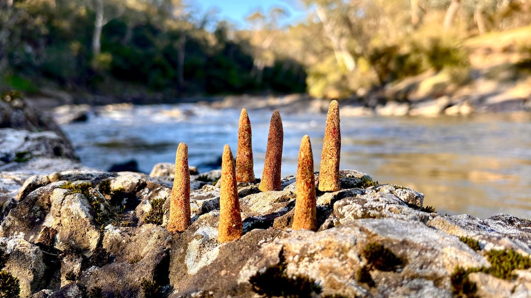 Bush Spirit Incense - Etsy Australia