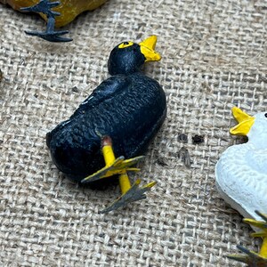 K&ouml;nnte beinhalten: Eine Sammlung kleiner, bemalter Vogelfiguren. Ein schwarzer Vogel mit gelbem Schnabel und F&uuml;&szlig;en steht im Fokus. Weitere V&ouml;gel sind zu sehen, darunter ein gelber und ein wei&szlig;er Vogel. Die Figuren befinden sich auf einer strukturierten, beigen Oberfl&auml;che.