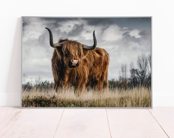 Stampa di mucca delle Highlands: decorazione murale rustica in stile fattoria