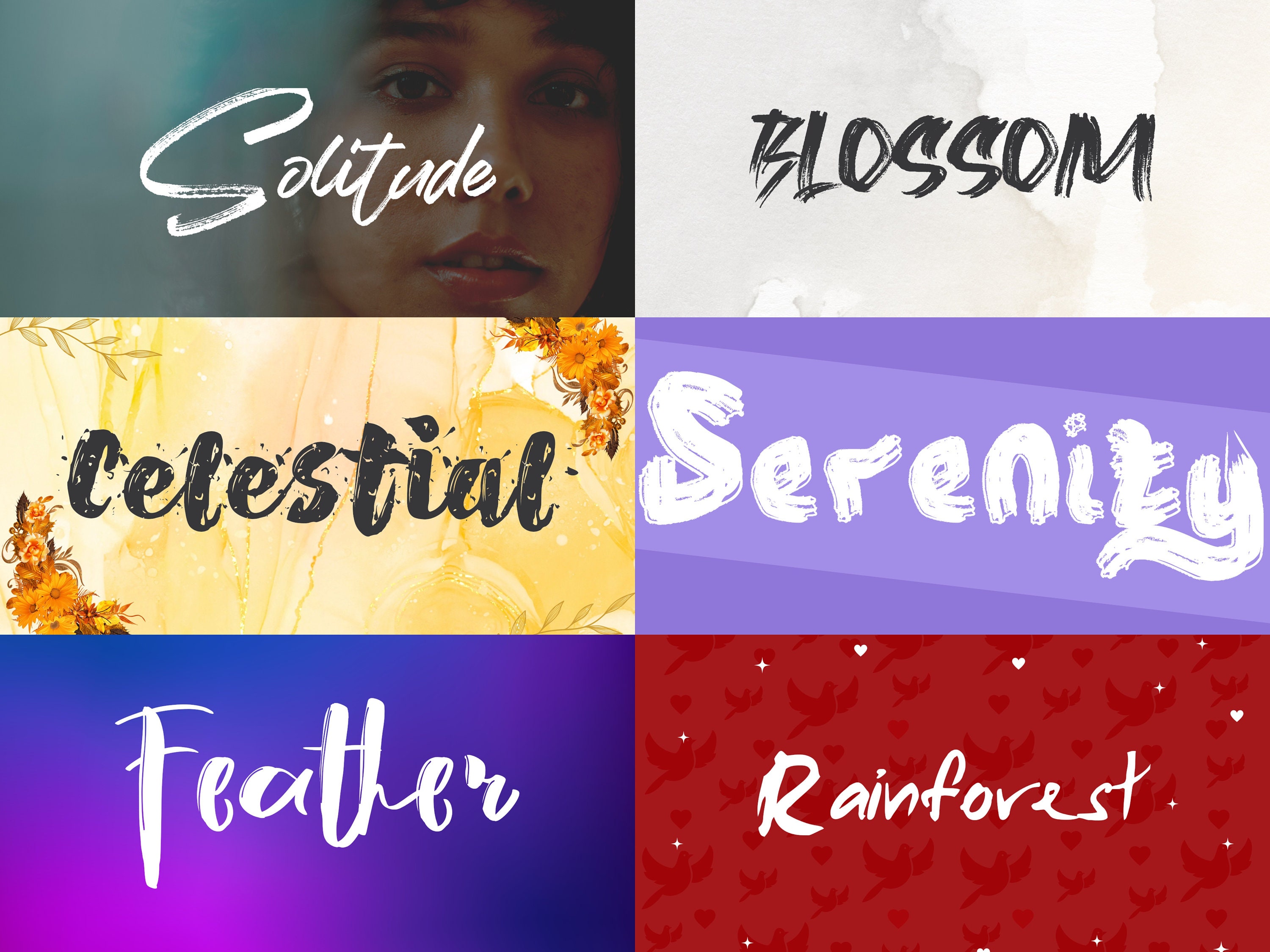 Brush Fonts Bundle Collection Paintbrush Font, Inked Fonts, Cricut Font