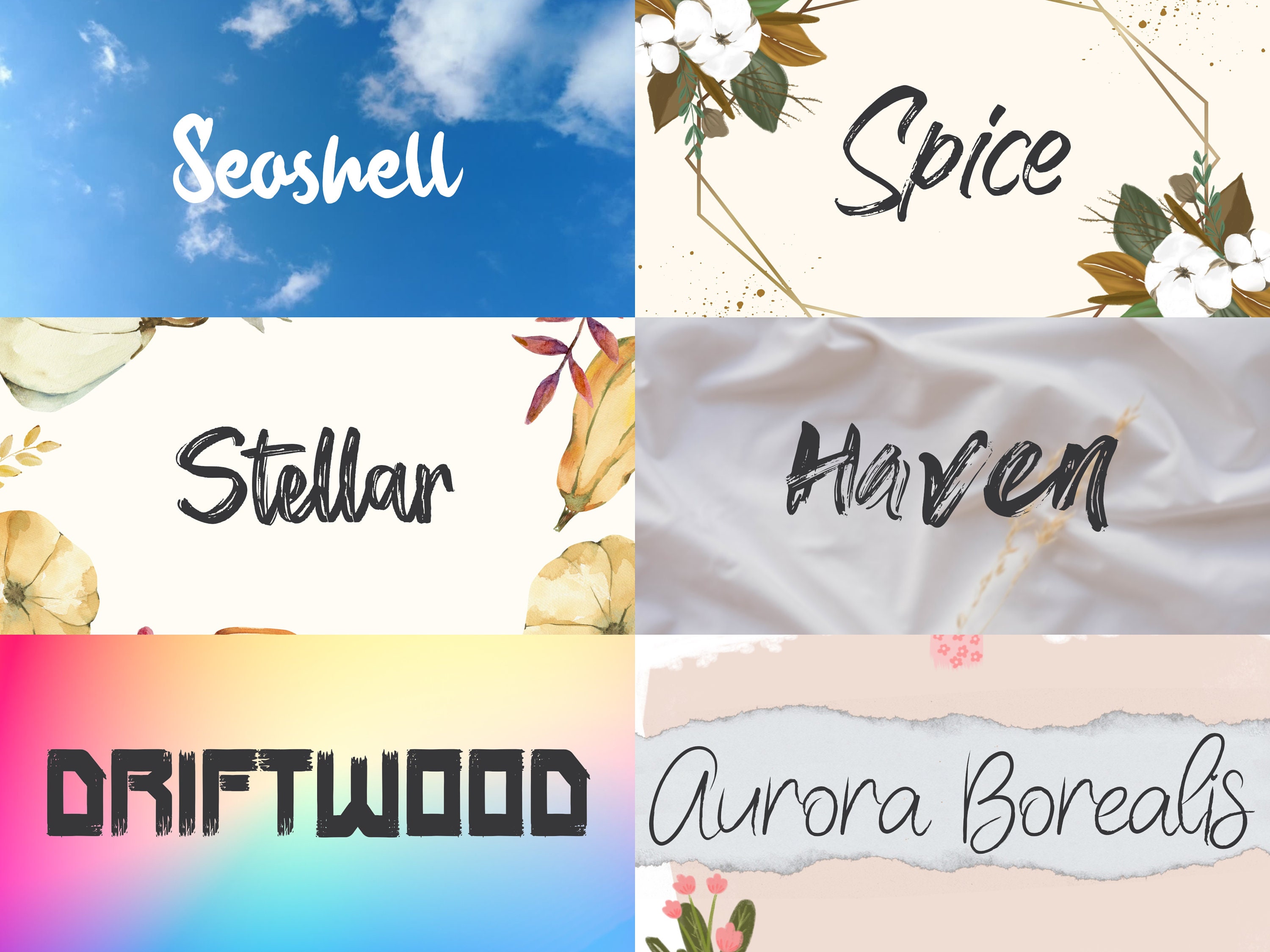 Brush Fonts Bundle Collection Paintbrush Font, Inked Fonts, Cricut Font