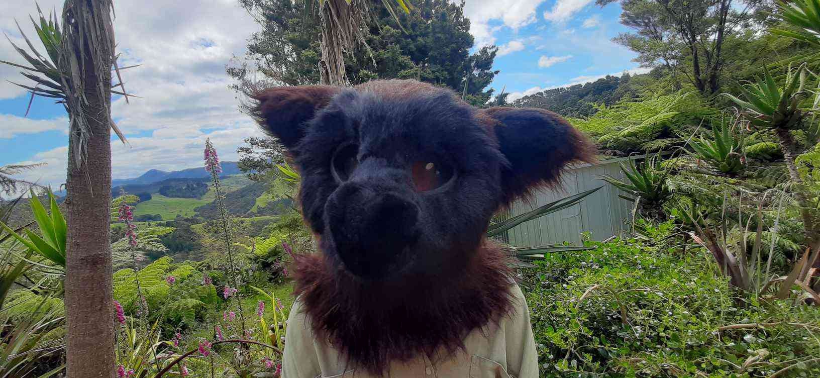 Fruit Bat Fursuit Head Etsy Australia