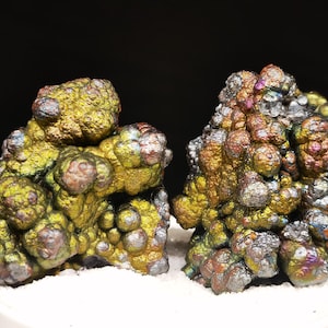 May include: Two clusters of botryoidal goethite mineral specimens featuring a metallic, iridescent surface with shades of gold, bronze, purple, and silver. The formations have a bumpy, rounded texture and are displayed upright on a white base.