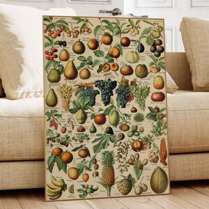 Adolphe Millot-fruitprint: vintage botanische muurkunst (digitale download)