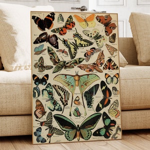 Adolphe Millot Druck, Schmetterlinge, Antike Wandkunst, Vintage Kunst, Adolphe Millot Druck, Vintage Botanische, digitaler Download, druckbare Kunst