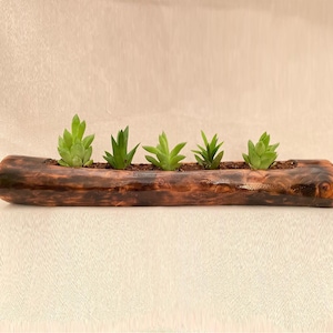 Rustikaler Sukkulententopf aus Holz, stilvolles Wohndekor, handgefertigter Blumentopf aus Kirschholz, Sukkulentenhalter