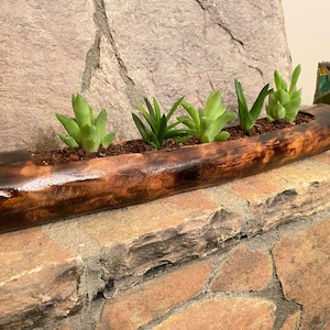 Hölzerner natürlicher Sukkulenten Pflanzentopf, rustikaler natürlicher Blumentopf, dekorativer Einweihungsgeschenktopf