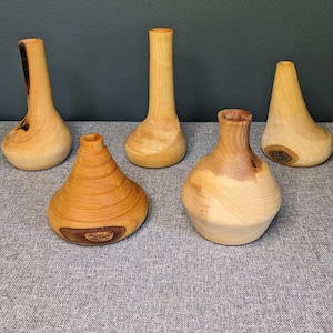 May include: Five wooden vases of varying shapes and sizes. The vases are all made of natural wood and have a rustic, handcrafted look.