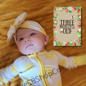 Printable Strawberry Bee Baby Milestone Cards | 1-12 Months + 1 Year + Hello World | Cute Garden Monthly Photo Prop