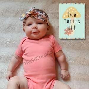 Cartões de marcos para bebês com tema Boho Woodland para imprimir | 1 a 12 meses + 1 ano + Olá, mundo | Adereço fotográfico para impressão com tema de cogumelo | Download instantâneo