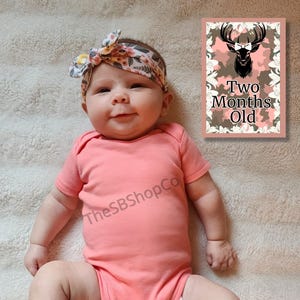 Biglietti di auguri per le tappe del bambino con cervo mimetico rosa stampabili / Accessorio fotografico mensile Boho per bambine / 1-12 mesi + 1 anno + Hello World