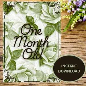 Cartes jalons bébé rose verte | 1-12 mois + 1 an | Accessoires photo floraux mensuels pour bébé | Téléchargement numérique imprimable