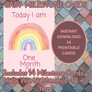 Boho Regenbogen Rosa Baby Meilensteinkarten | 1-12 Monate + 1 Jahr + Hello World | Baby Foto Requisite | Pastell Printable | Sofort Download