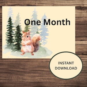 Cartes Jalon bébé des bois | 1 mois à 1 an | Animal de la forêt | Accessoires photo pour bébé | de cartes Jalon du mois pour bébé | Téléchargement instantané