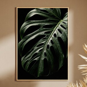 Monstera Esqueleto Print, Moody Botanical Wall Art, Dark Houseplant Photography, Skeleton Leaf Poster, Tropical Decor, Digital Download