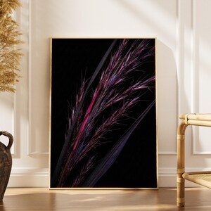 Puede incluir: Una impresión artística enmarcada que presenta un primer plano de una vibrante vida vegetal plumosa en tonos rosa y morado sobre un fondo negro. La obra de arte se exhibe en una habitación con una paleta de colores neutros, con un jarrón de plantas secas.