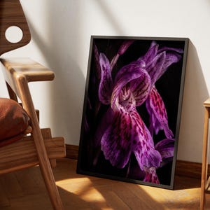 Magenta Spotted Orchid Dactylorhiza, Dark Floral Wall Art, Purple Botanical Digital Print, Moody Garden Gift for Mum, Birthday Home Decor
