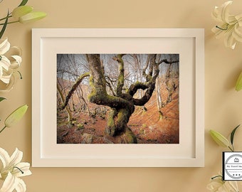 Herfstlandschapsfotografieprint. De bewaker van het bos.