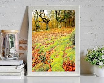 Herfstlandschapsfotografieprint. Beukenbos Otzarreta in País Vasco.