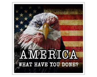 Anti Trump Sticker, America What Have You Done Sticker, Indoor/Outdoor, Multiple Sizes, Democracy Sticker, Gift for Democrat, Democrat Gift