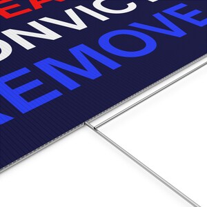 Impeach Convict Remove Yard Sign, Protest Sign, Custom Yard Sign, Anti Trump Sign, Political Yard Sign, Custom Lawn Sign, Multiple Sizes image 5
