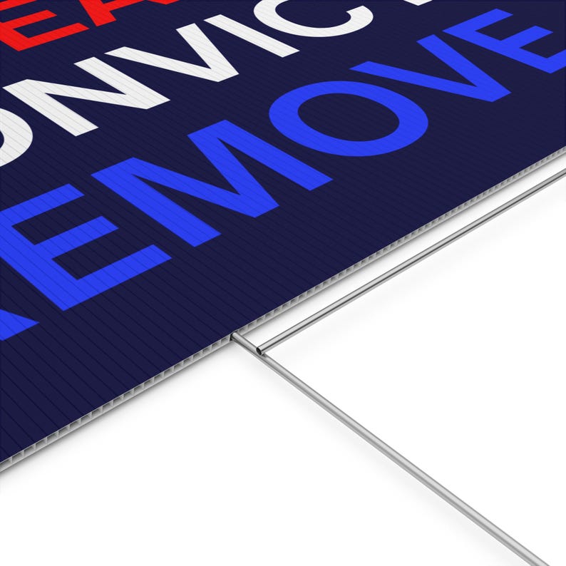 Impeach Convict Remove Yard Sign, Protest Sign, Custom Yard Sign, Anti Trump Sign, Political Yard Sign, Custom Lawn Sign, Multiple Sizes image 5