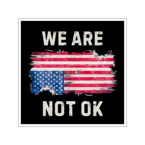 Custom Sticker, Anti Trump Sticker, American Flag Sticker, Political Sticker, Patriotic Sticker, We Are Not Ok, Vinyl Sticker