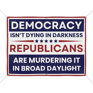 Democracy Banner, Anti Republican Banner, Protest Banner, Anti Trump Banner, Dictator Banner, 48&quot; x 36&quot;, Ropes Included, Free Shipping
