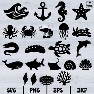 Könnte beinhalten: Schwarze Silhouette-Illustrationen verschiedener Meeresbewohner und nautischer Elemente, darunter eine Welle, ein Anker, ein Seepferdchen, ein Seestern, ein Oktopus, eine Krabbe, eine Garnele, eine Qualle, ein Aal, eine Seegurke, eine Schildkröte, ein Delfin, ein Wal, ein Hai, ein Rochen und Korallen.