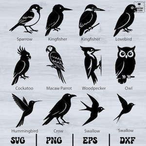 Könnte beinhalten: Eine Sammlung schwarzer Vogelsilhouetten, darunter Spatz, Eisvogel, Nymphensittich, Kakadu, Ara, Specht, Eule, Kolibri, Krähe und Schwalbe. Jeder Vogel ist mit seinem Namen beschriftet. Das Bild enthält auch die Dateityp-Labels: SVG, PNG, EPS und DXX.