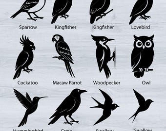 Paquete de siluetas de aves en formato SVG / 21 diseños de imágenes prediseñadas de aves / Gorrión, búho, cuervo, loro, colibrí en formato SVG / Descarga digital instantánea