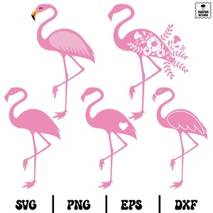 Flamingo SVG Bundle, Flamingo zwar, rosa Flamingo, Sommer Form, Vogel Form, Flamingo Silhouette