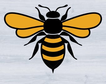 Honey bee Svg, bee silhouette Svg, Bumble bee Svg, beekeeper Svg