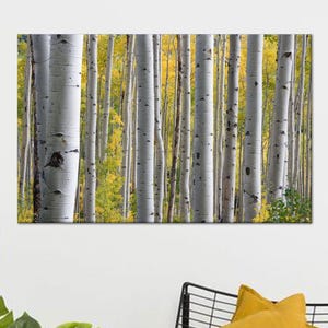 Birch Grove in the Forest glasdecor, landschap canvas cadeau, boom kunst muur decor, Birch Grove canvas decor, gepersonaliseerd cadeau voor papa,