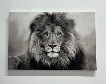 Blue Eyed Lion Art, Wild Lion Wall Art, Animal Printed, Wildlife Wall Art, 3D Canvas, Tempered Glass, Animal Wallpaper, Gifts, Wall Decor,