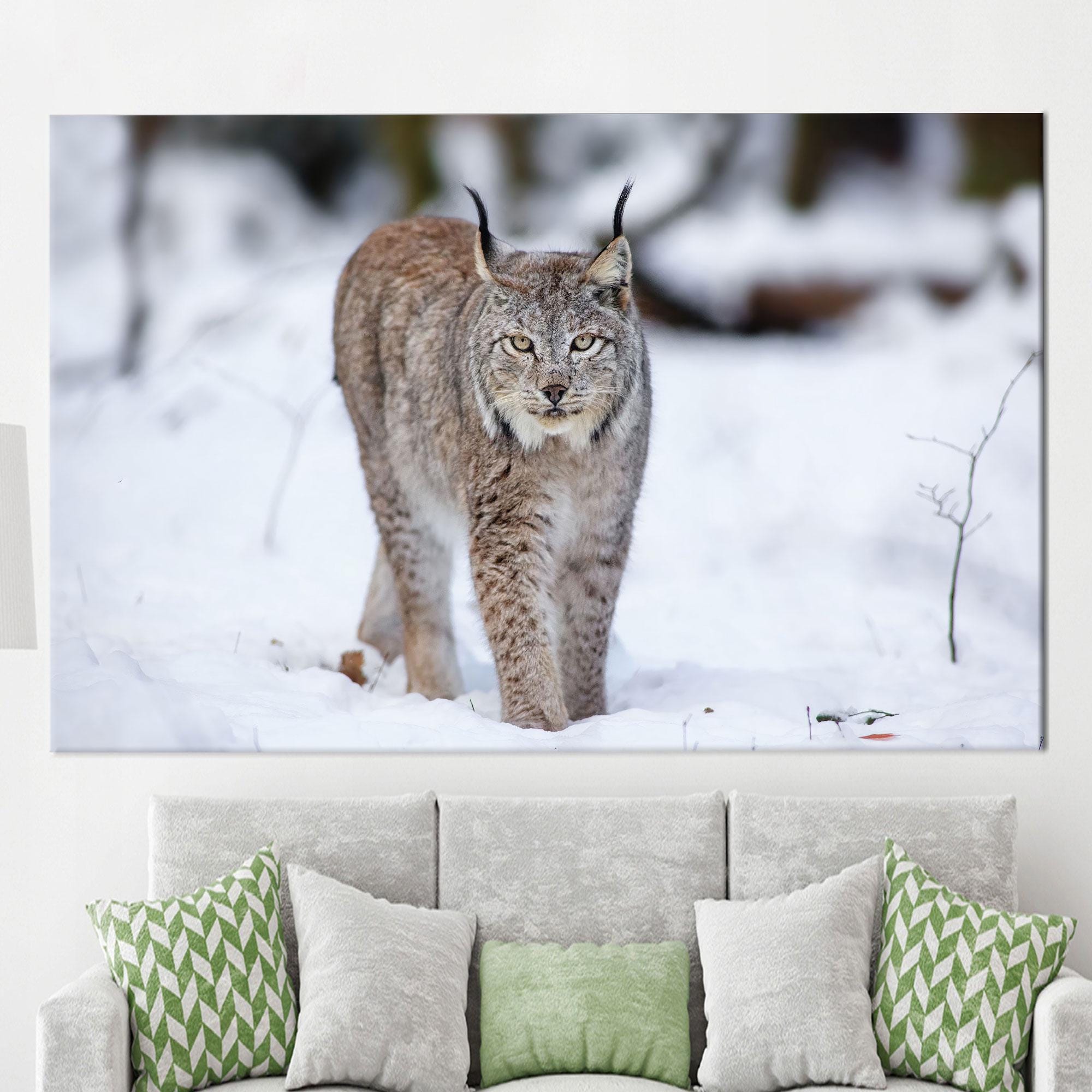 Personalized Lynx Cat Canvas: Animal Wall Art Decor