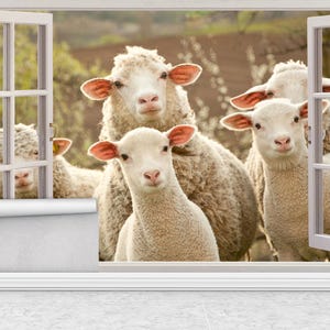 Puede incluir: Un mural de papel pintado que muestra un grupo de ovejas mirando por una ventana. Las ovejas tienen lana blanca y orejas rosas. La ventana es blanca y ofrece una vista de un campo.