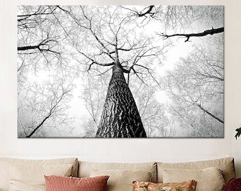 Black and White Tree Branch Canvas Print: Forest Landscape Wall Art