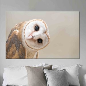 Crème uilkunst, uil fotokunst, dierenmuurkunst, modern canvas, gehard glas, uilenbehang, ingelijste muurkunst, canvasposter, kunst aan de muur thuis,