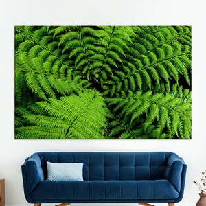 Arte dipinta con pteridofite, arte della parete con felce scudo, arte della parete verde, tela floreale, vetro 3D, arte della carta da parati, arte della parete incorniciata, arte della parete della fattoria,