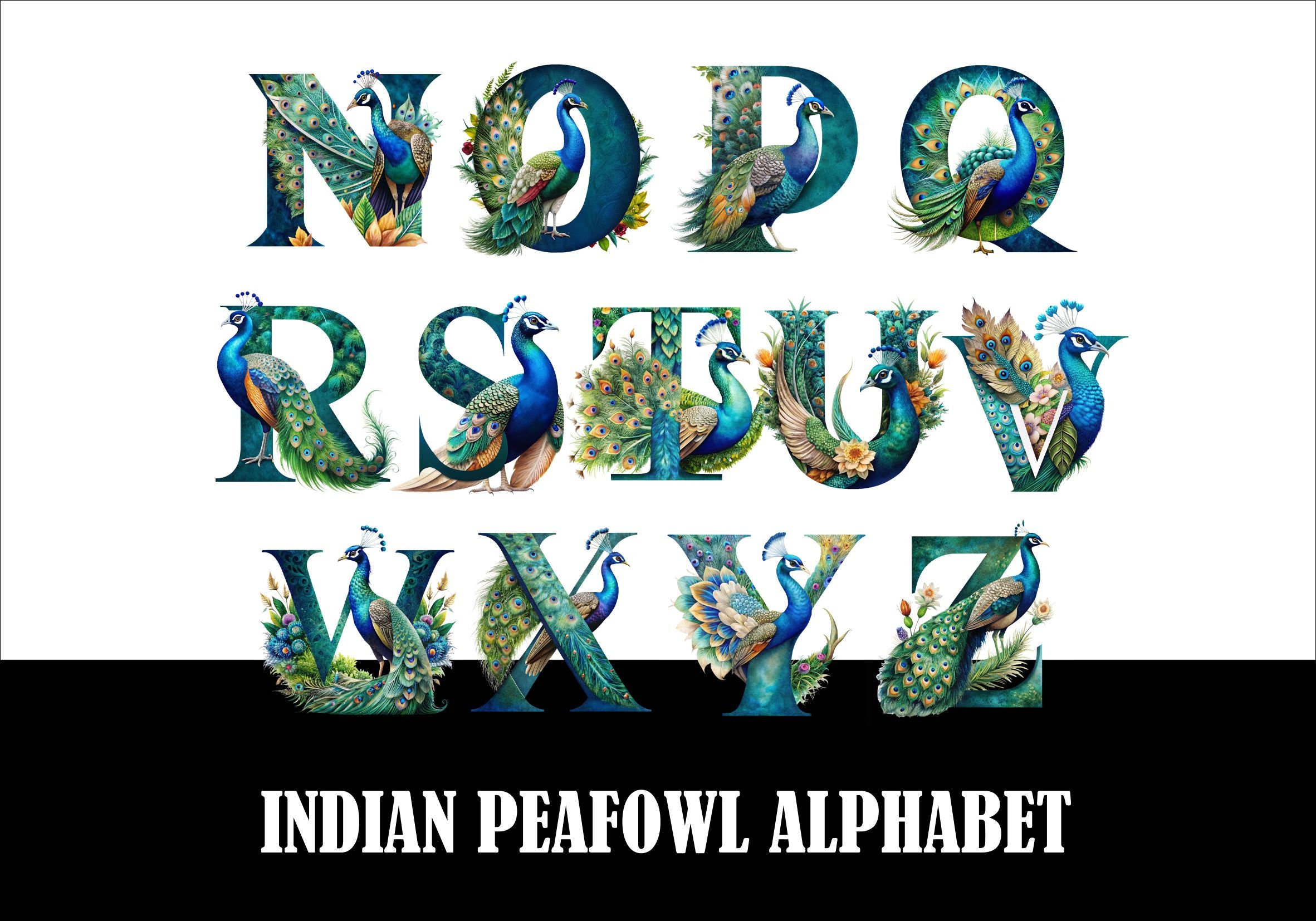 Peacock Alphabet Clipart, Indian Peafowl Font (PNG Download) - Etsy
