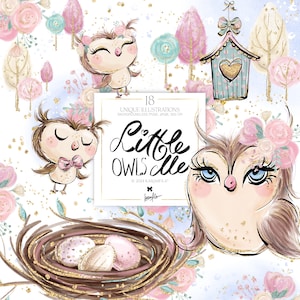 Corujas para mãe e bebê Clipart KaramfilaS Pastel Caprichoso Floral Folha de Ouro Molduras para Casamento Planejador Adesivos Sublimação PNG POD Suprimentos para Eventos