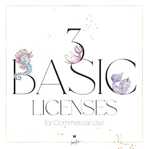 KaramfilaS 3 Basic Lizenzen für kommerzielle Nutzung Pack, No-Cretid, für drei Clip Arts Sets oder Digital Paper Packs.