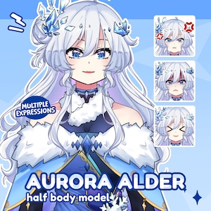 Ready to Use Premade Vtuber Female - Aurora Alder / Customizable / Vtube Studio / Full Body / Fully Rigged / Live2D Model