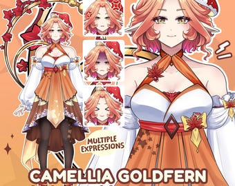 Premade VTuber Model | Fully Rigged Live2D VTuber for VTube Studio