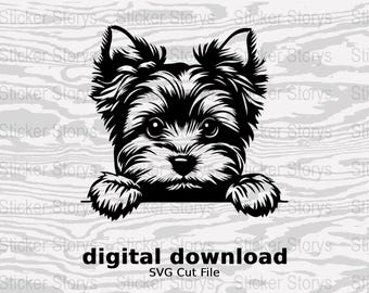 Descargas de perros digi