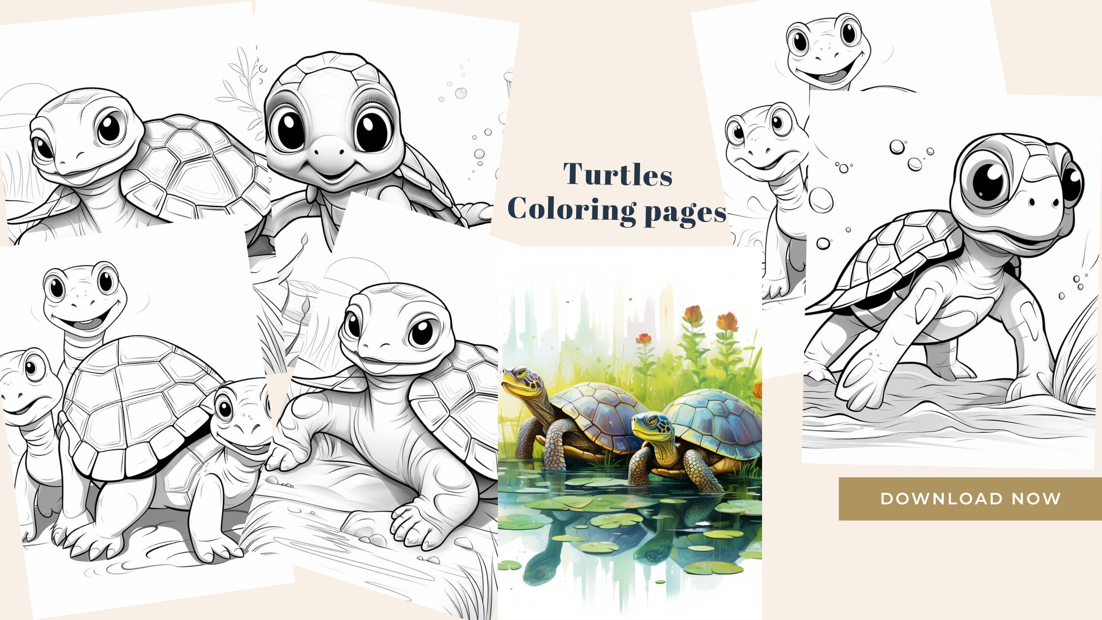 Turtle Family Coloring Pages Etsy