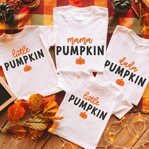 Custom Family Pumpkin Shirt, Mama and Mini Shirts, Fall Matching Family Outfits, Mommy and Me, Retro Fall Gift, Pumpkin Season, Fall T-shirt