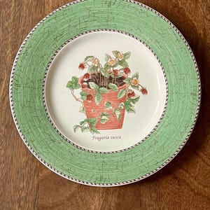 Wedgwood Sarah's Garden - Etsy